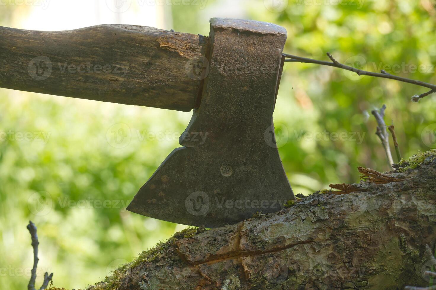 Close-up of a rustic axe embedded in a tree stump in a sunny garden photo