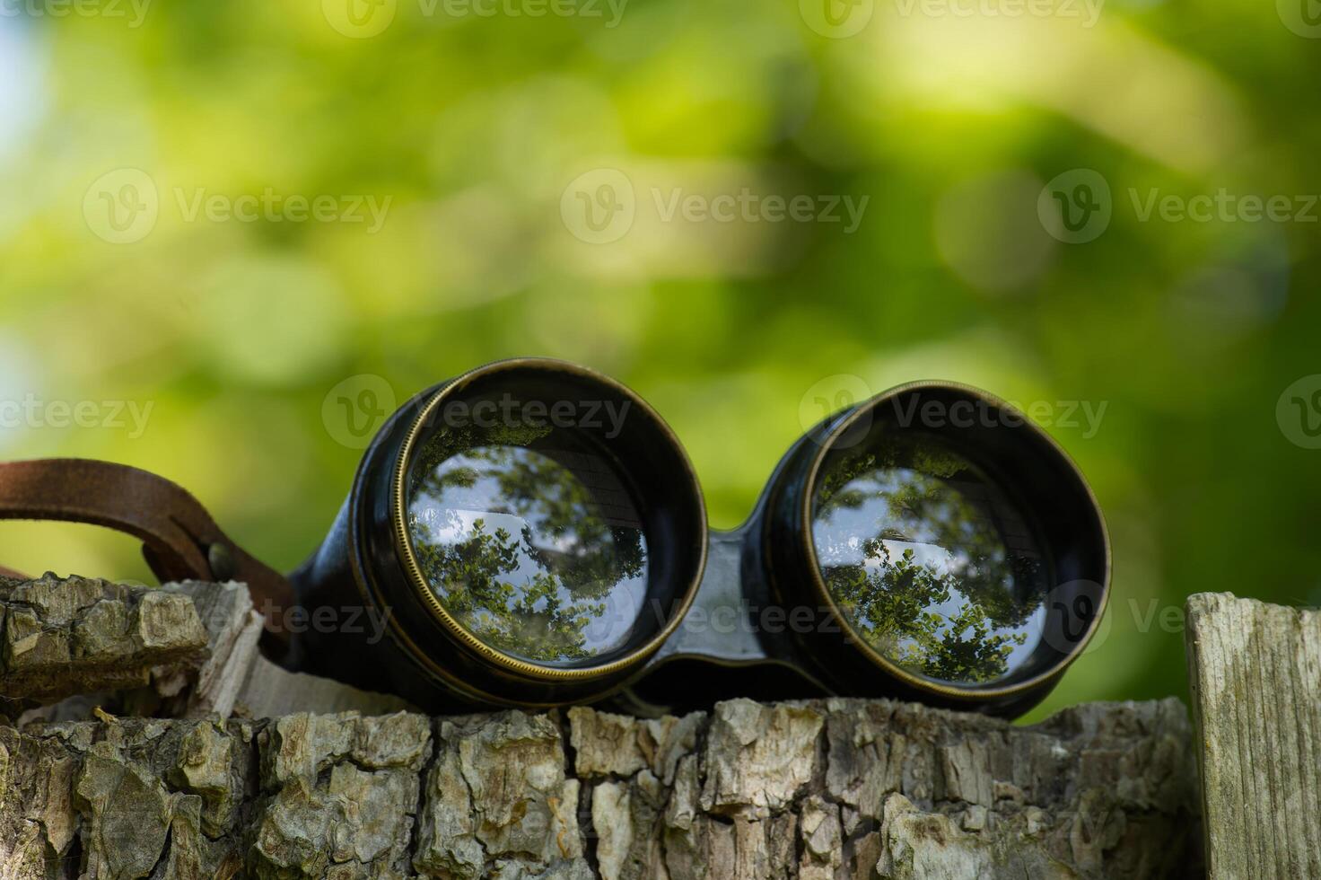 Vintage binoculars resting on mossy tree stump in forest setting photo