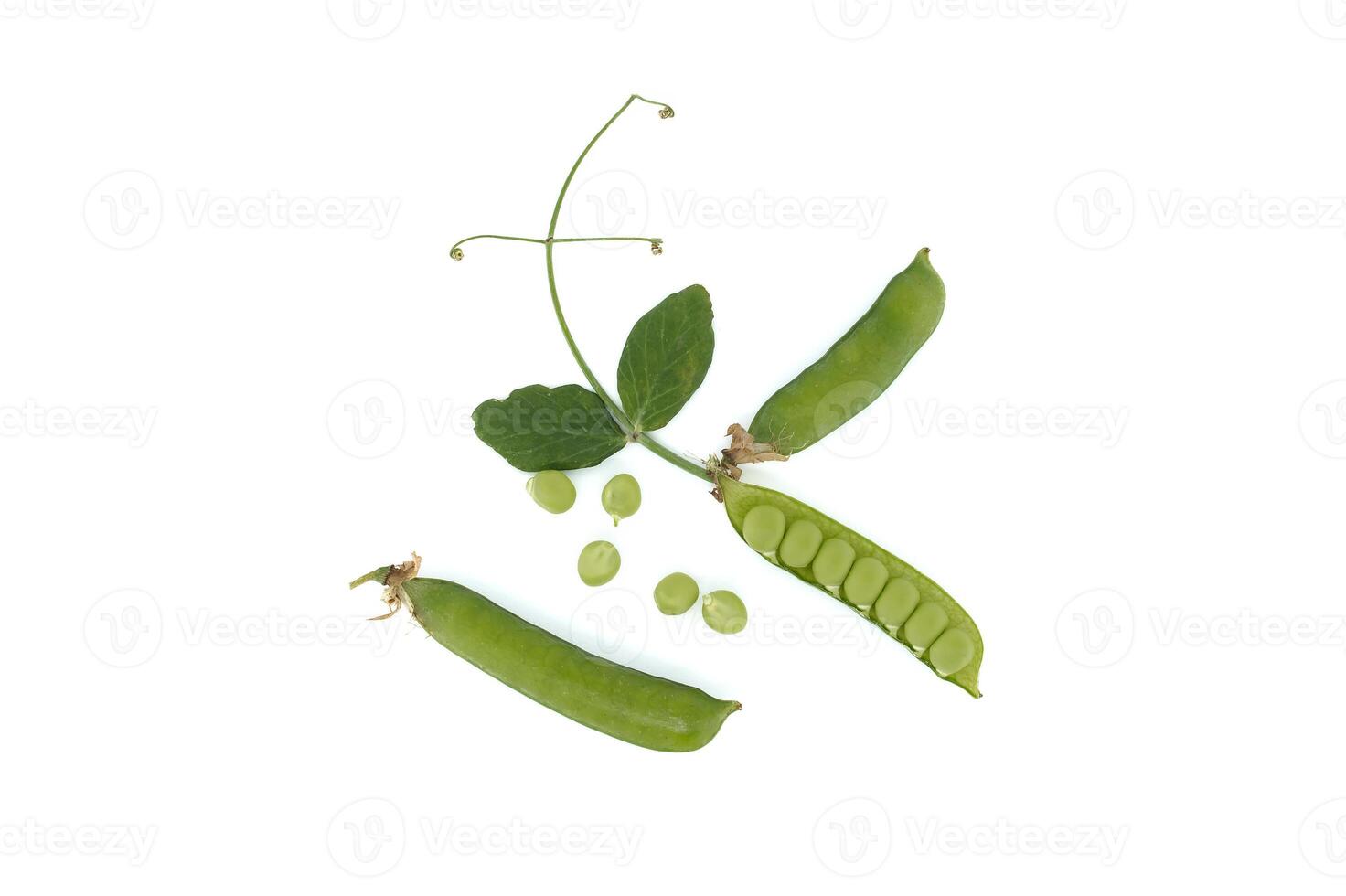 Pea pod is open and green peas inside over white background photo