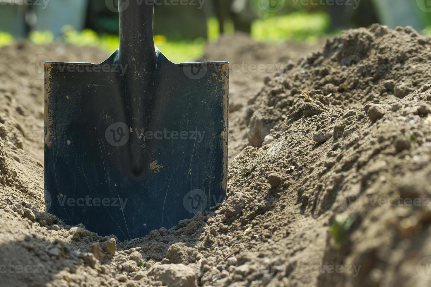 Spade is embedded in the ground, surrounded by well tended soil photo