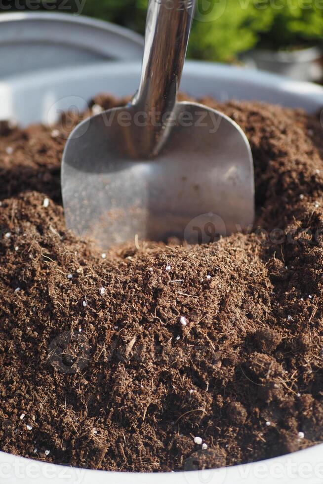 Gardening in the garden, using a shovel, surrounded by nature and sunlight, enjoying being outside photo