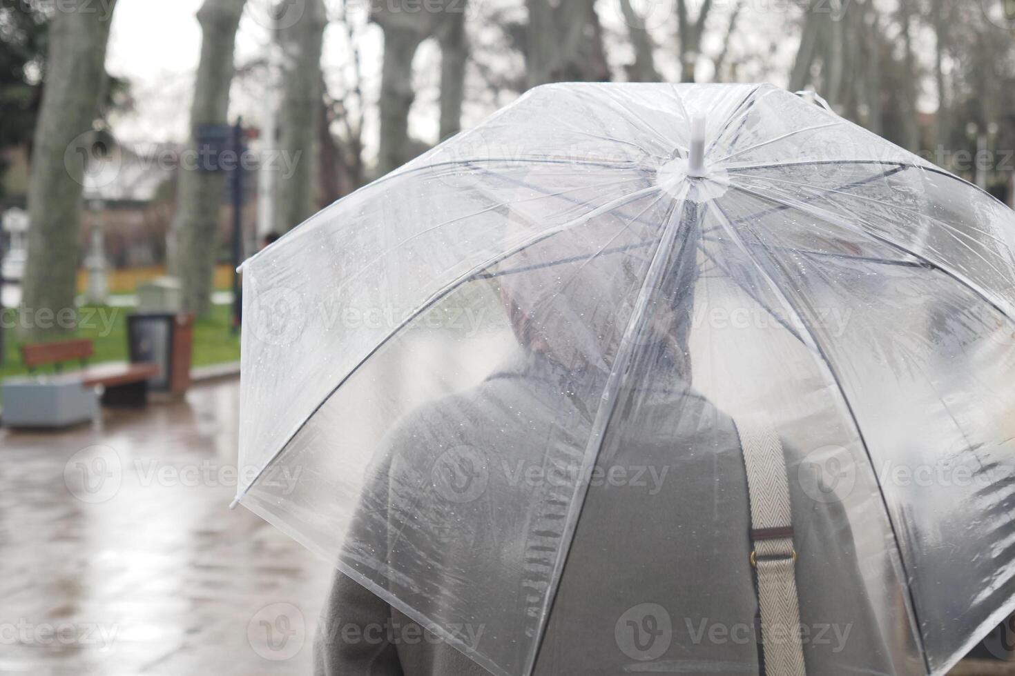 women under umbrella in the rain photo