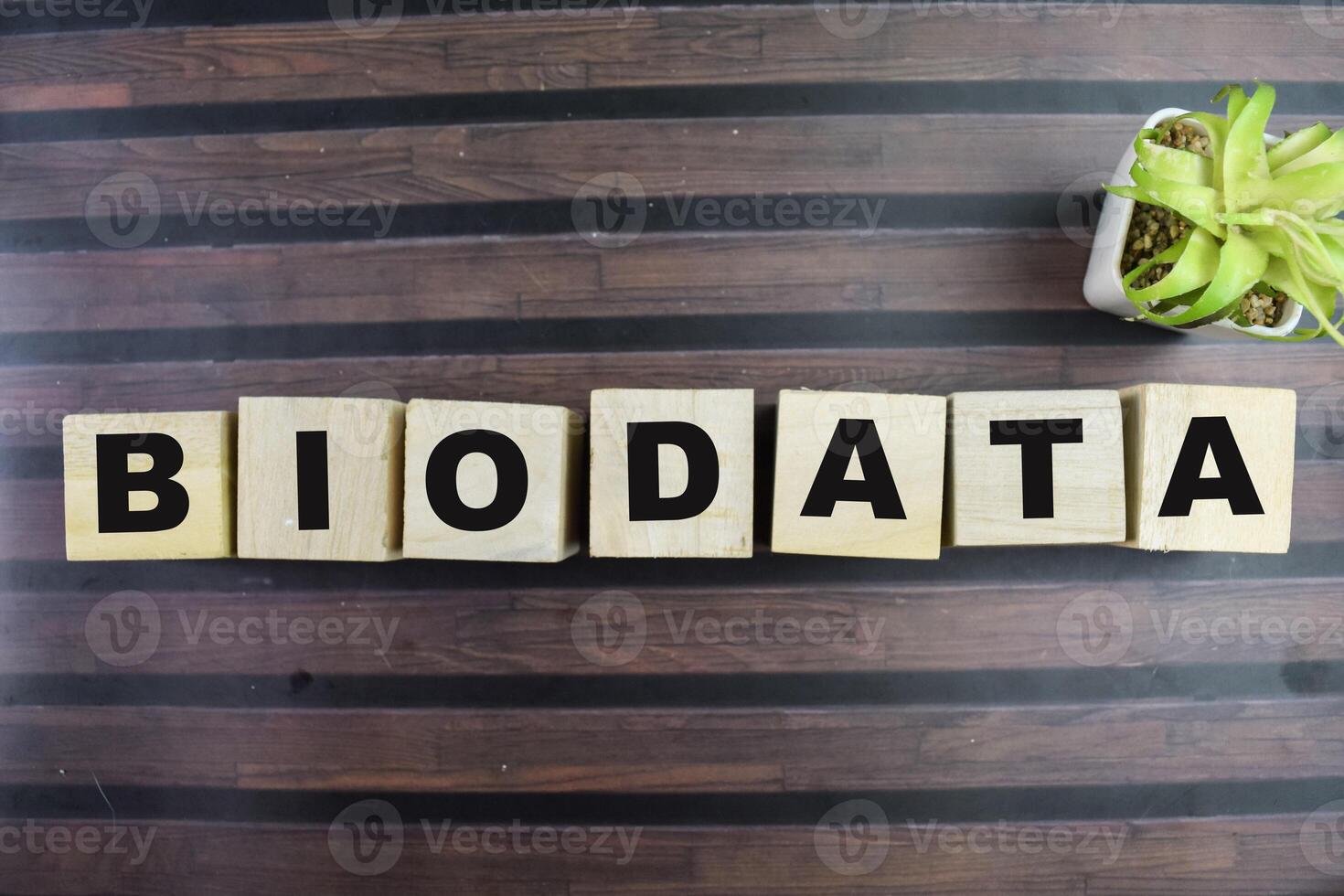 Concept of The wooden Cubes with the word Biodata on wooden background. photo