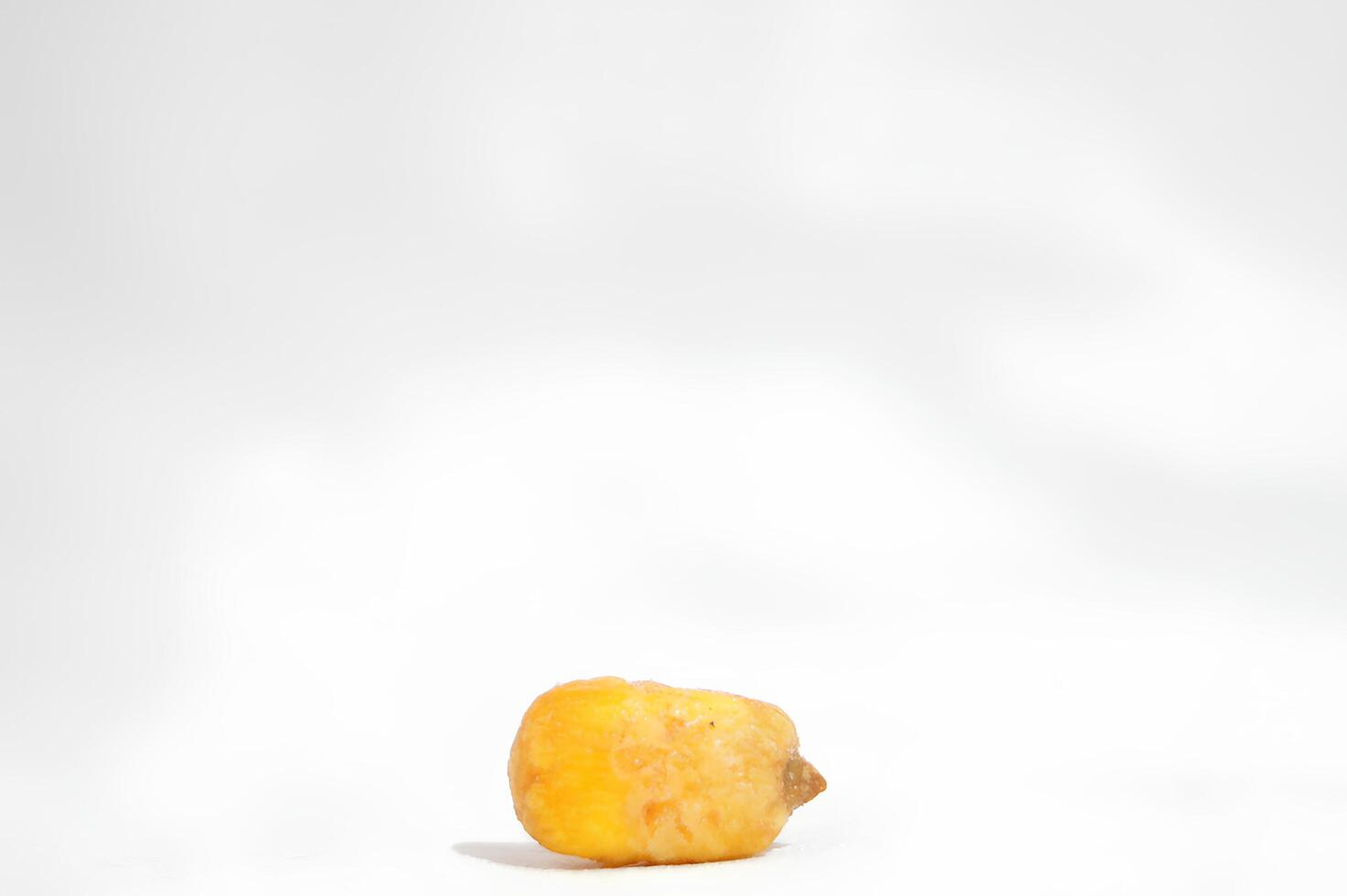 Ear of Corn with Husk Partially Peeled photo