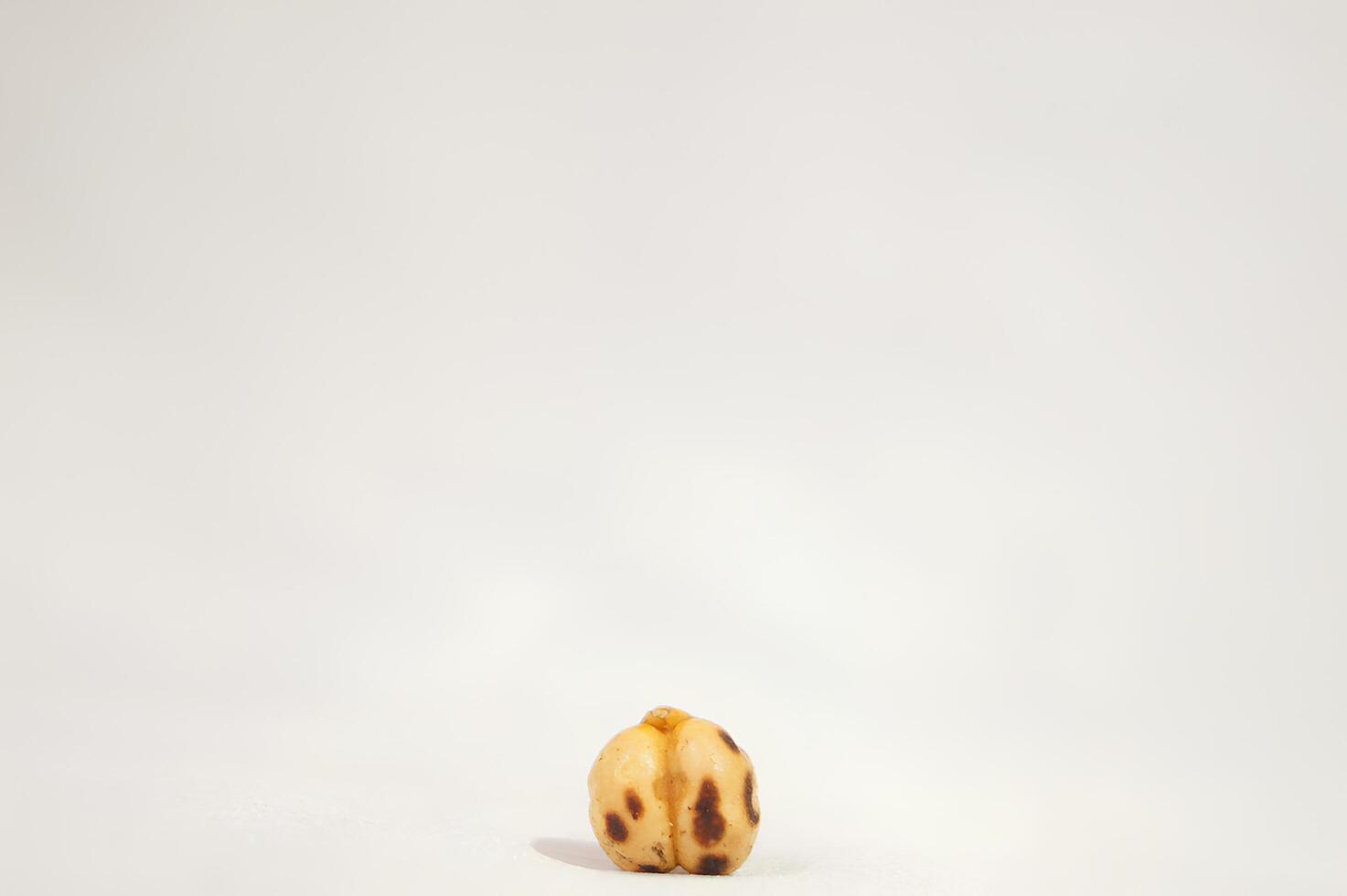 A Single Crunchy Chickpea photo