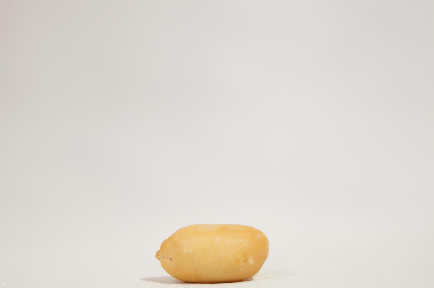 A Single Peanut in the Shell photo