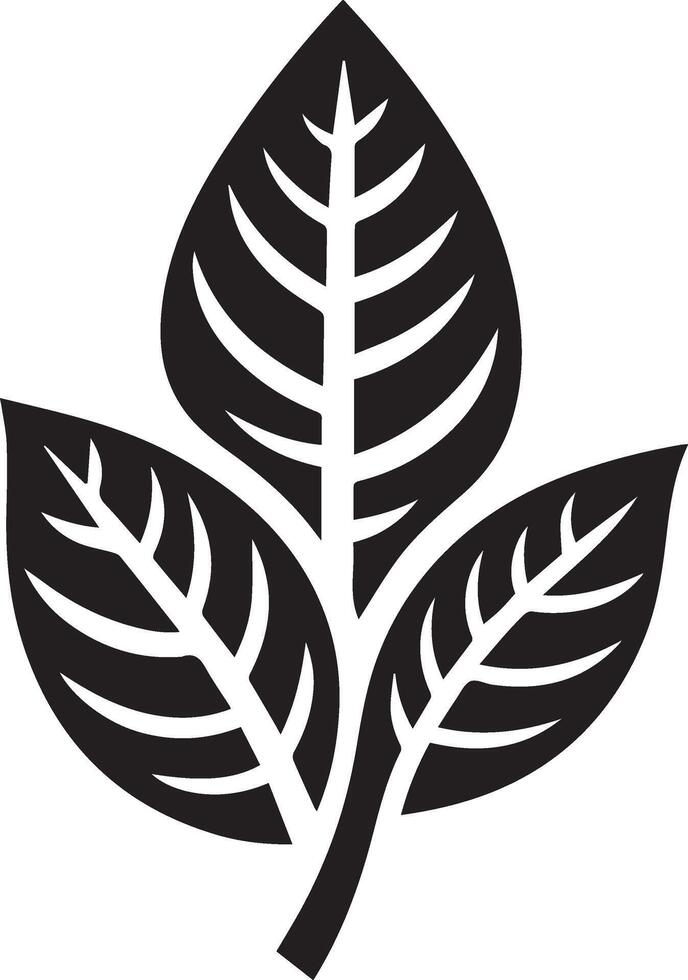 a black and white illustration of a leaf vector