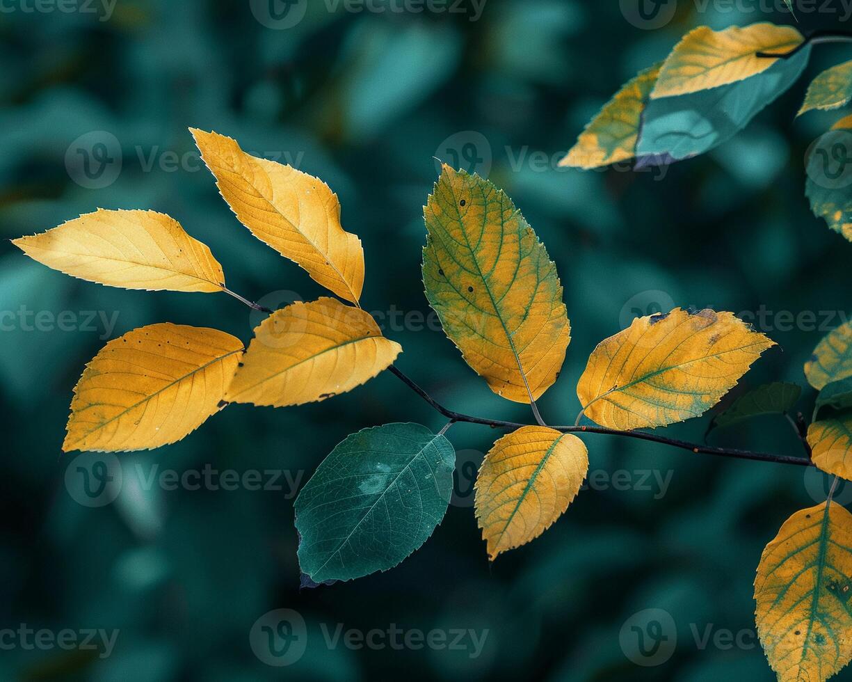 In a grove where conservation meets enlightenment, every leaf and branch tells a story of care photo