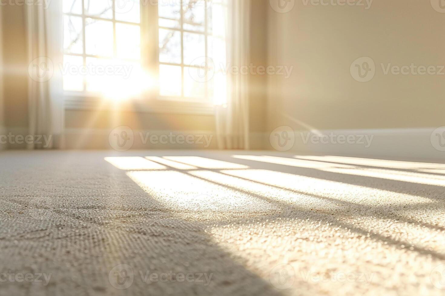 Room empty except for a clean carpet, ventilated by gentle wind, morning glow, corner angle, clear focus photo