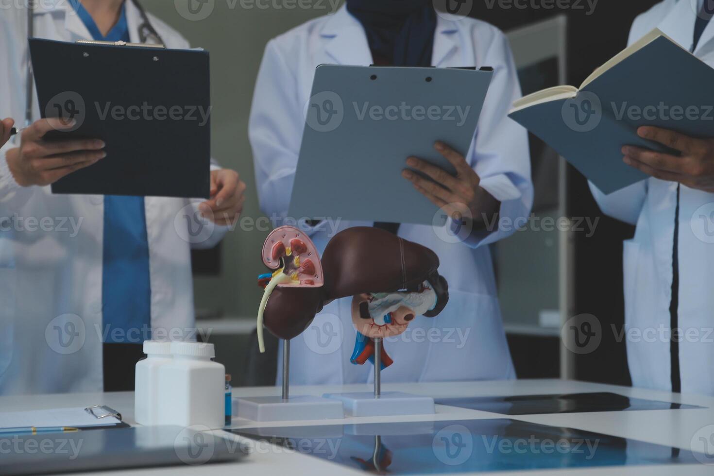Medical, meeting and laptop for team in office in discussion, brainstorming and planning. Doctor, nurse and computer on desk, teamwork or workshop for Model Internal organ. photo