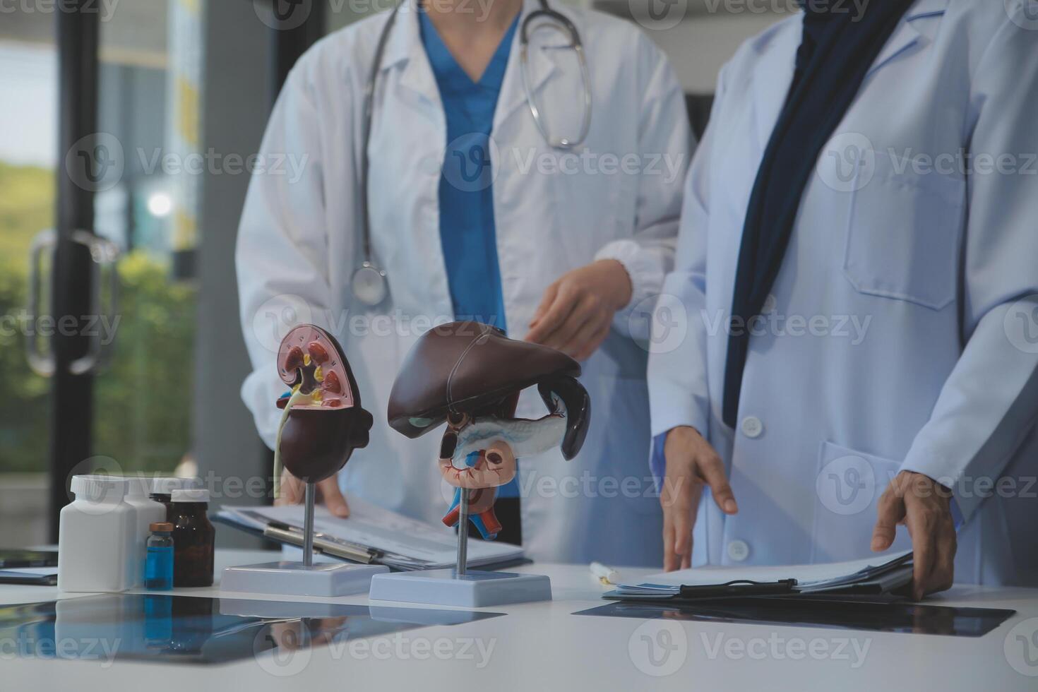 Medical, meeting and laptop for team in office in discussion, brainstorming and planning. Doctor, nurse and computer on desk, teamwork or workshop for Model Internal organ. photo