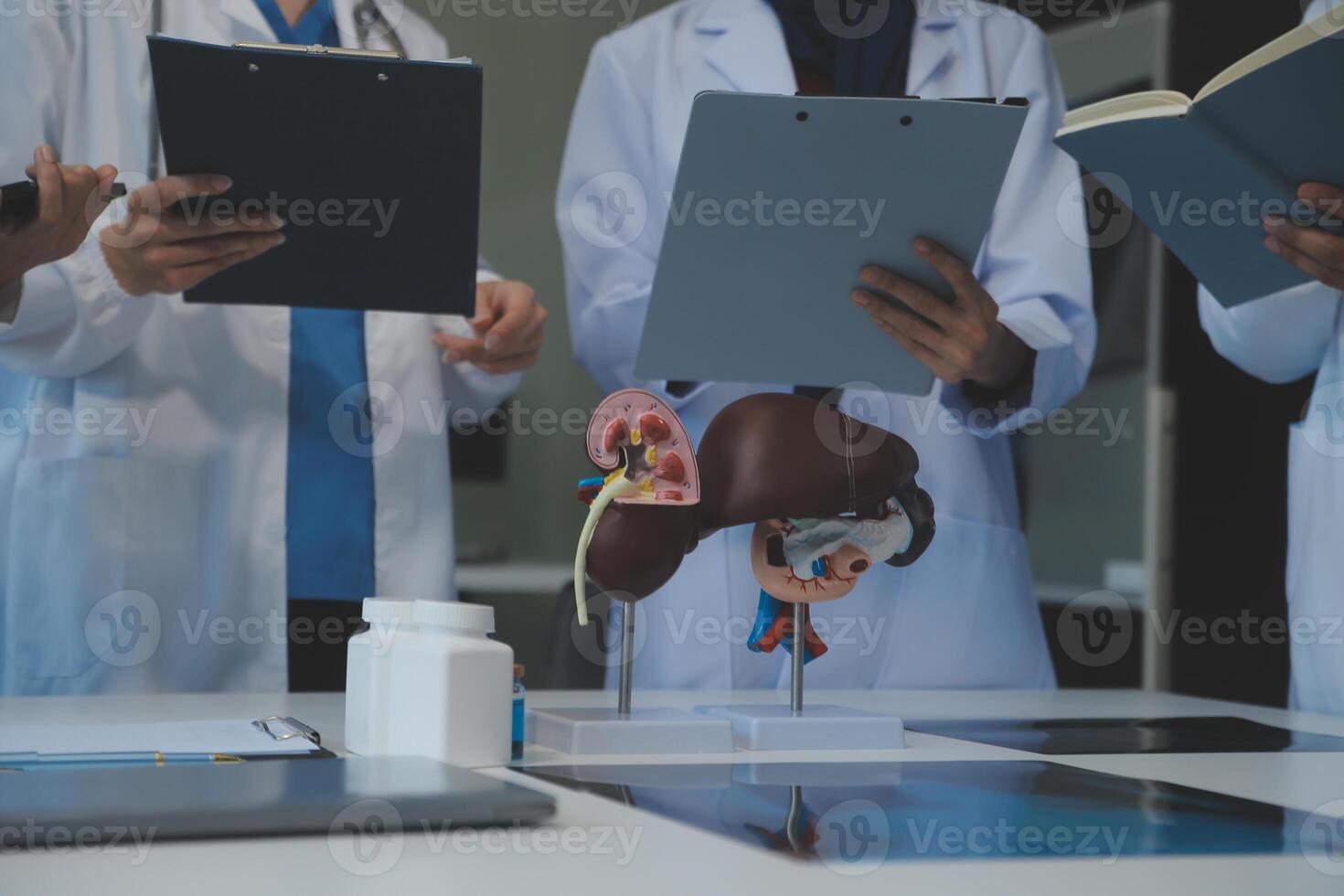 Medical, meeting and laptop for team in office in discussion, brainstorming and planning. Doctor, nurse and computer on desk, teamwork or workshop for Model Internal organ. photo