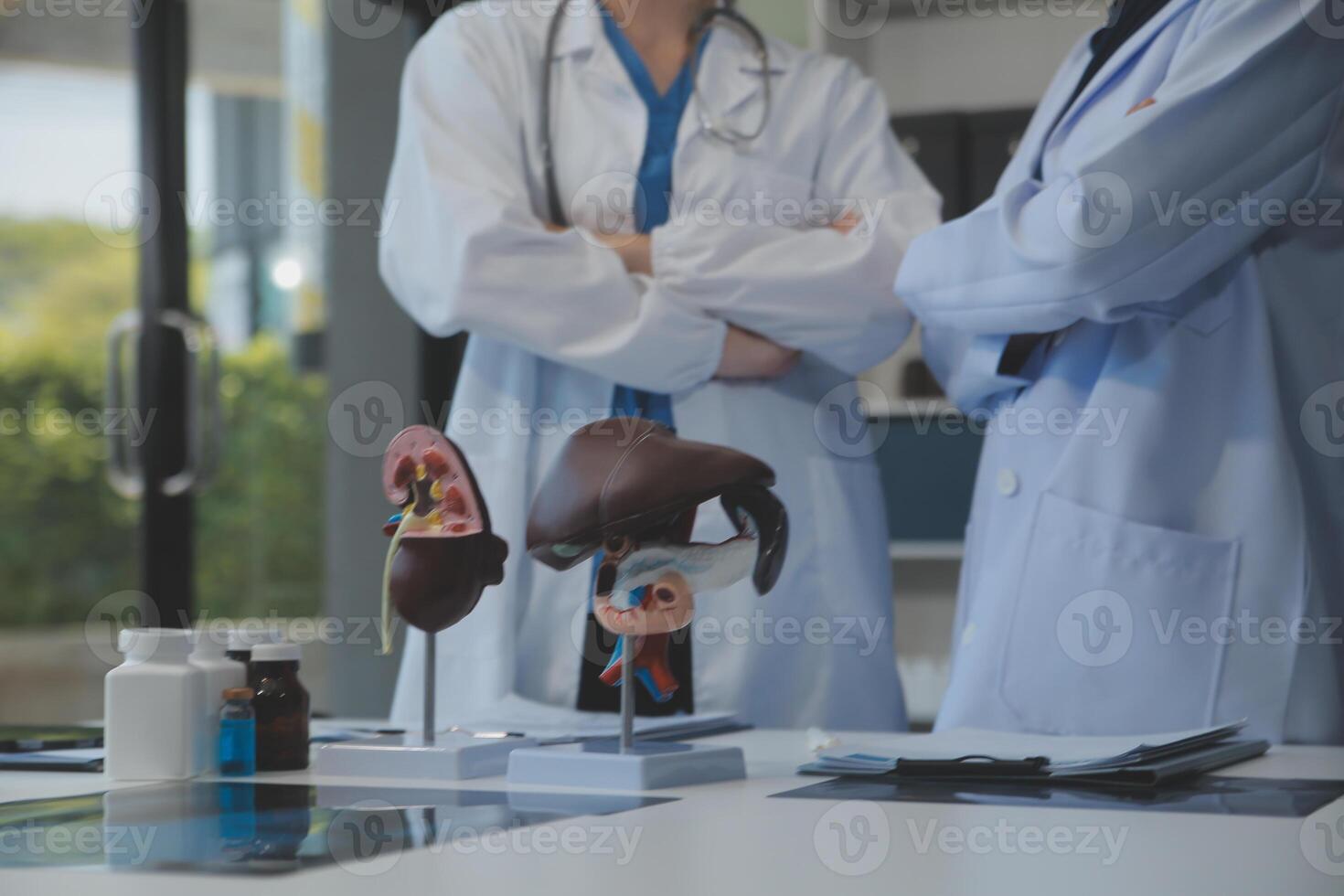 Medical, meeting and laptop for team in office in discussion, brainstorming and planning. Doctor, nurse and computer on desk, teamwork or workshop for Model Internal organ. photo
