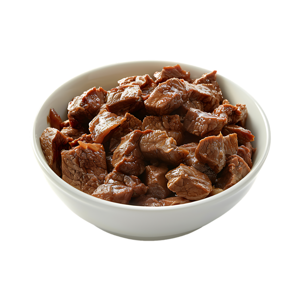 Cooked Brief in a Bowl with Spices on Transparent Background png