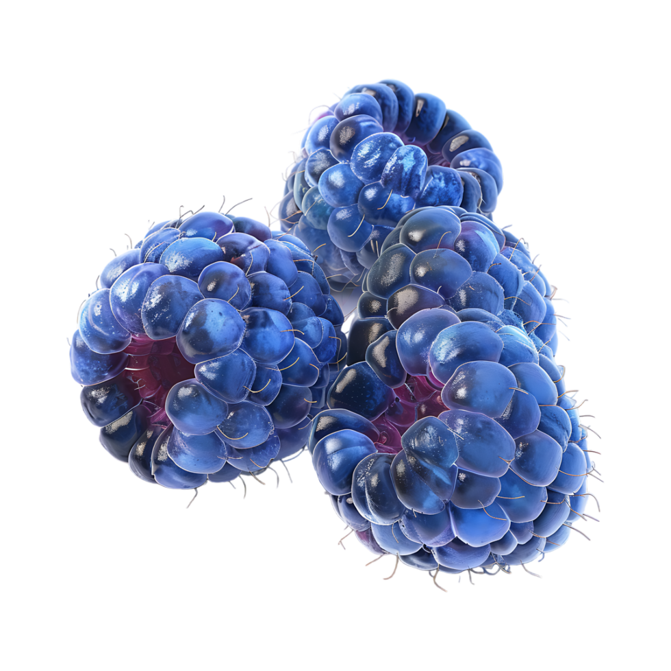 Blue Berries on Transparent Background png