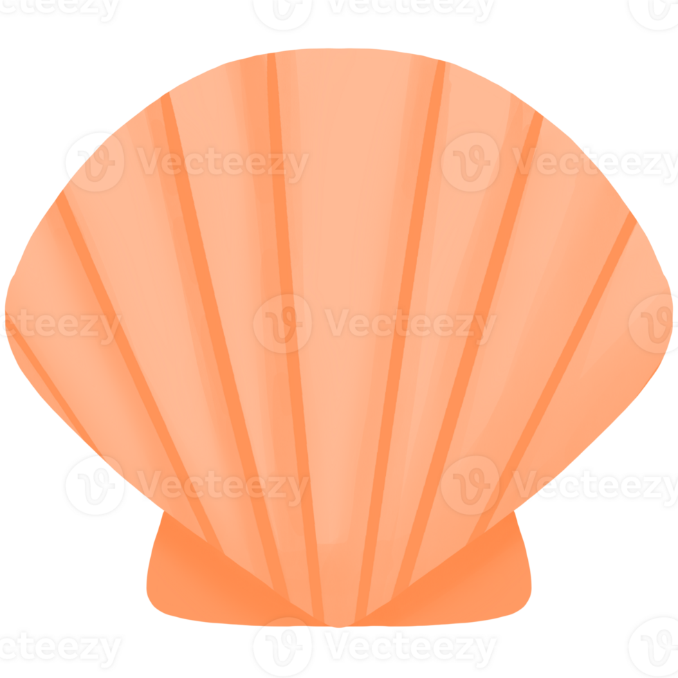 an orange shell on a transparent background png