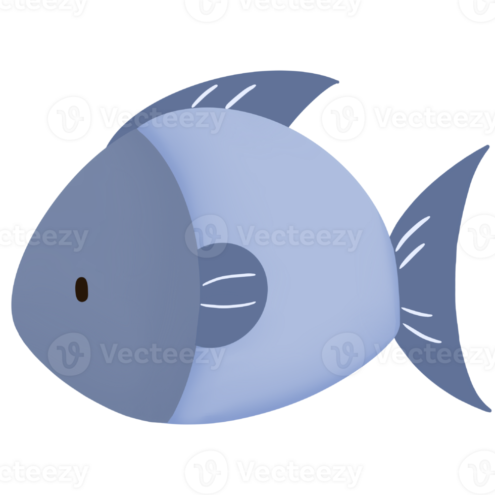 Illustration of fish clip art png