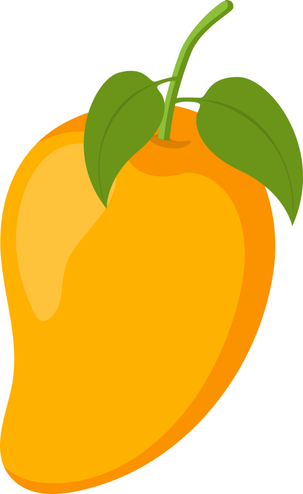 mango juicy fruit png