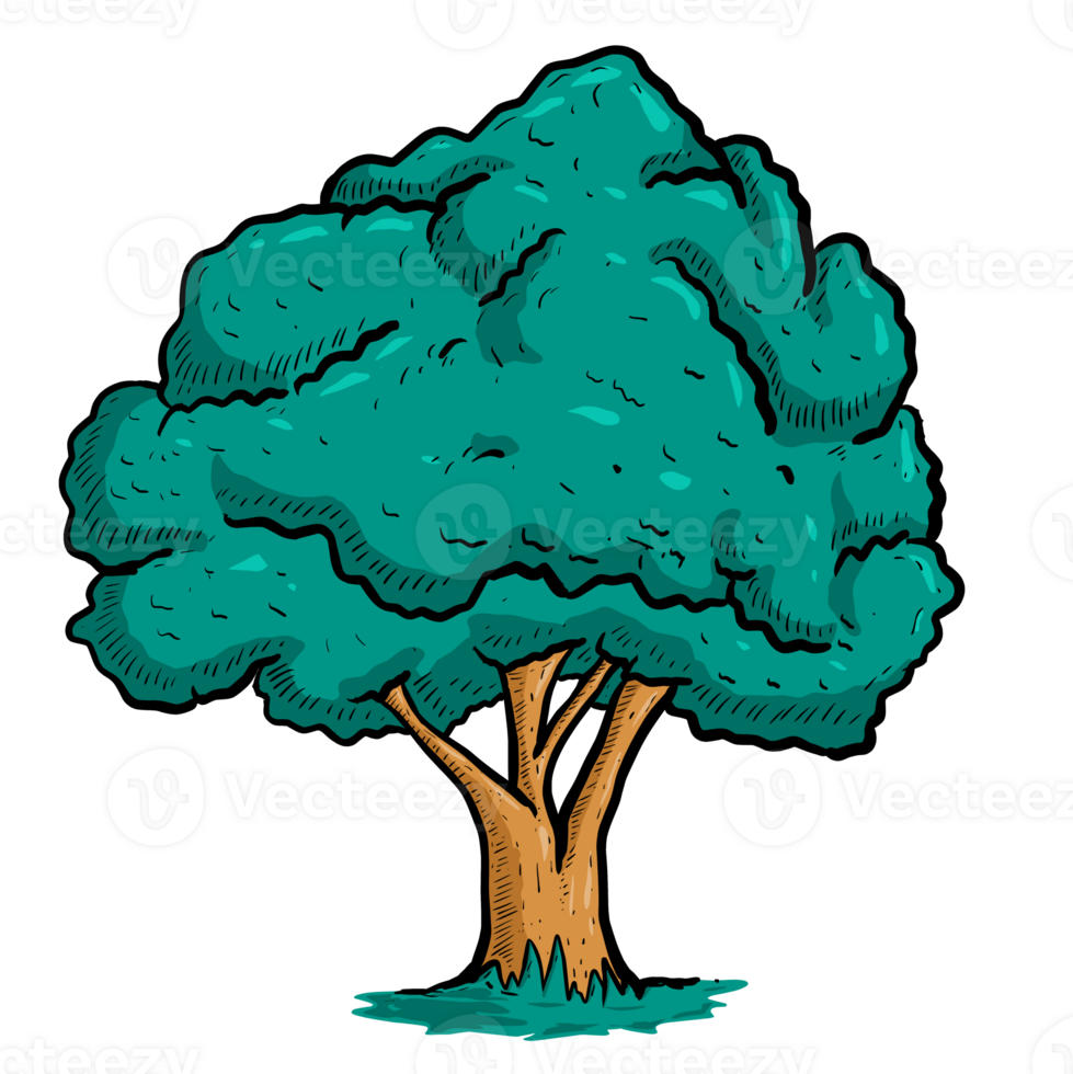 Illustration tree in the park png