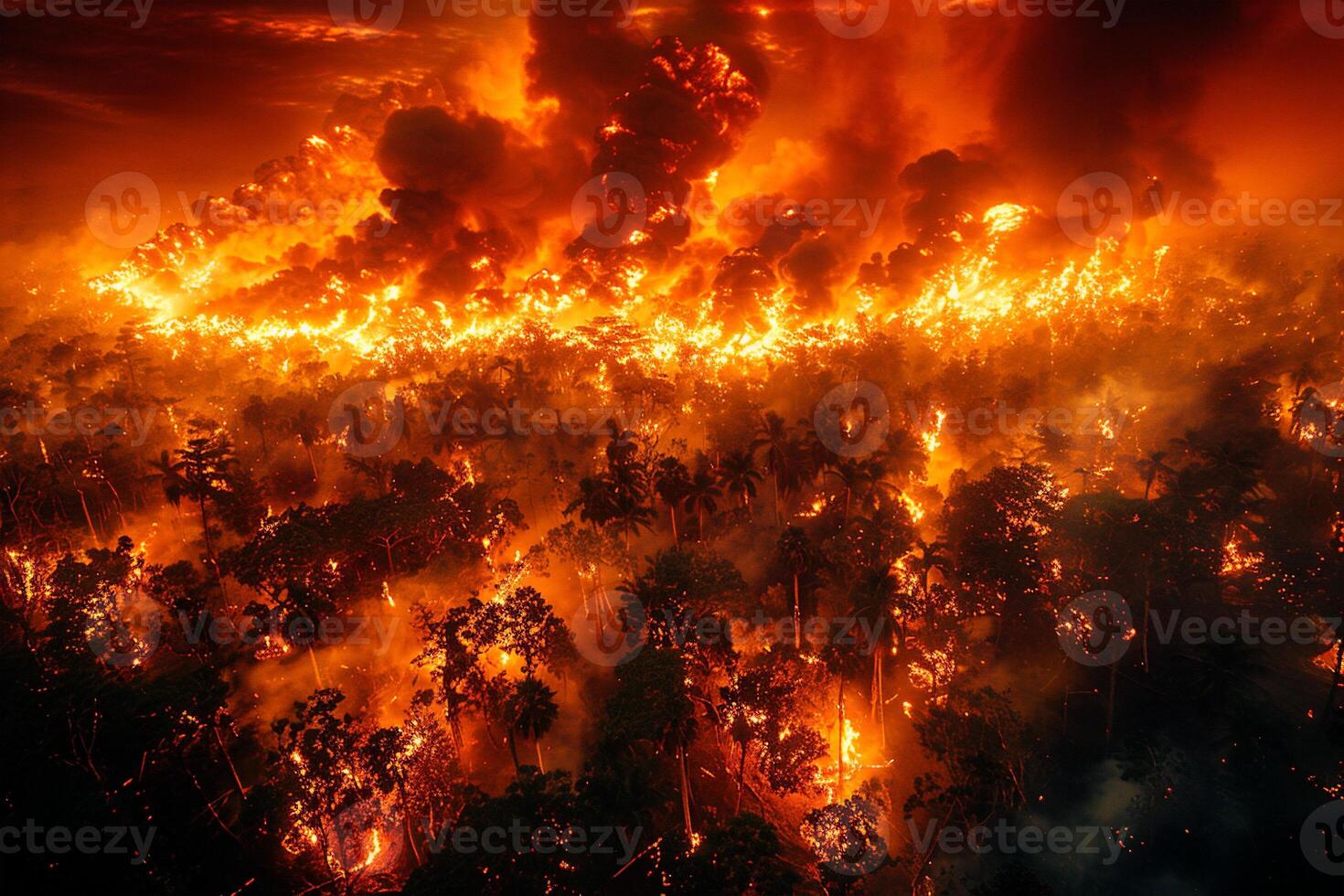 Raging wildfire consuming the dense tropical of a forest, with towering flames illuminating the night sky and billowing smoke darkening the horizon. photo