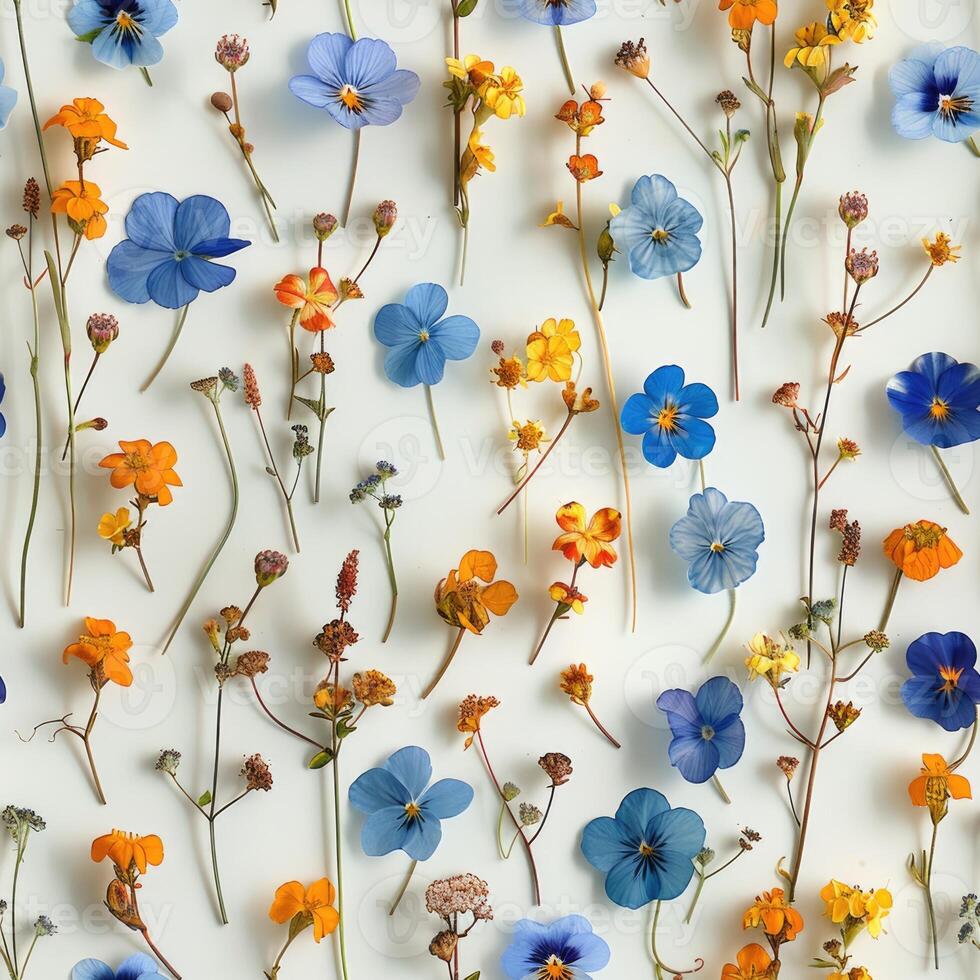 pressed flower colorful pattern texture wallpaper on white background, ai photo