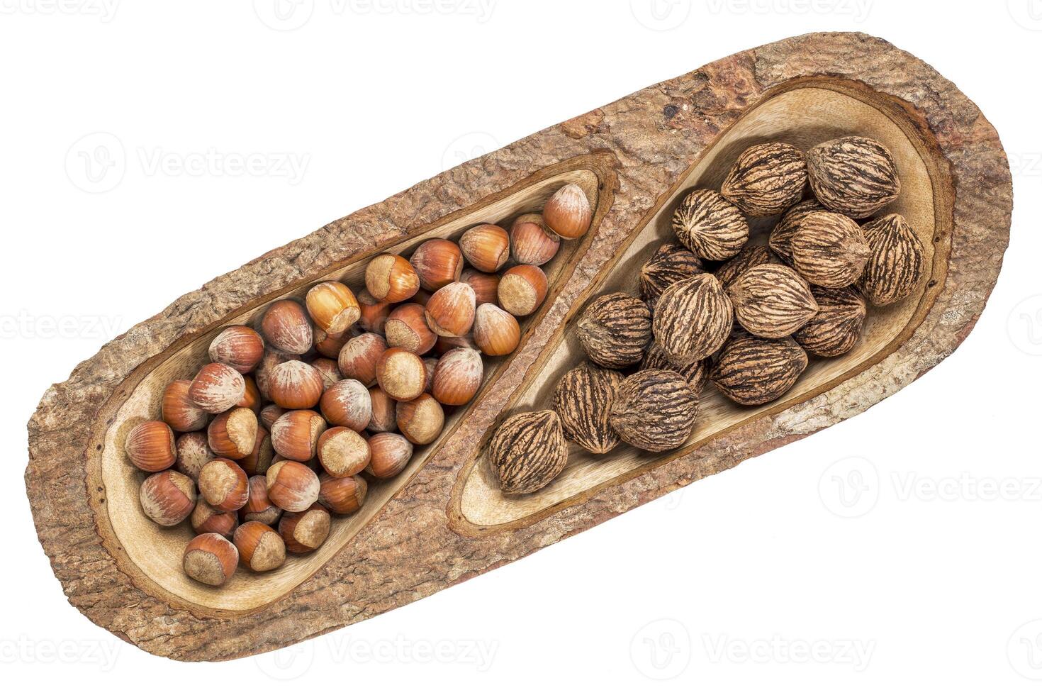 hazelnuts and black walnuts photo