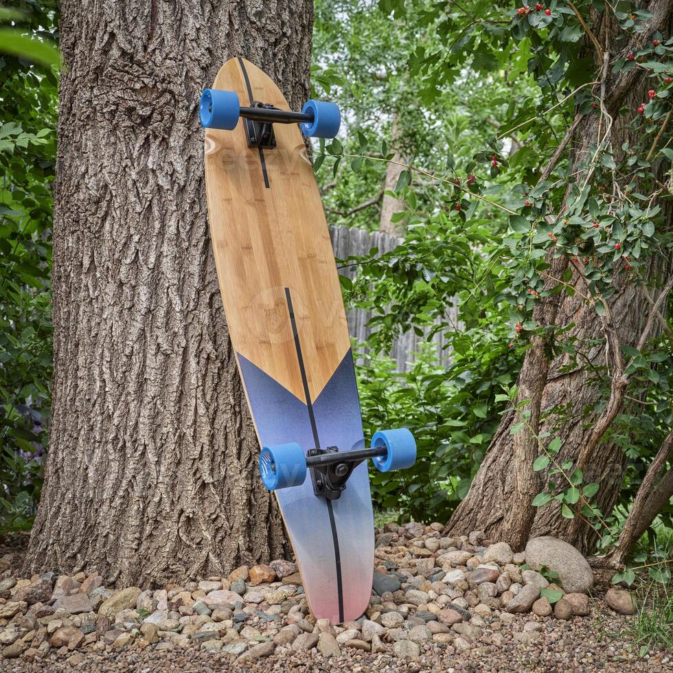 cruising longboard against tree photo