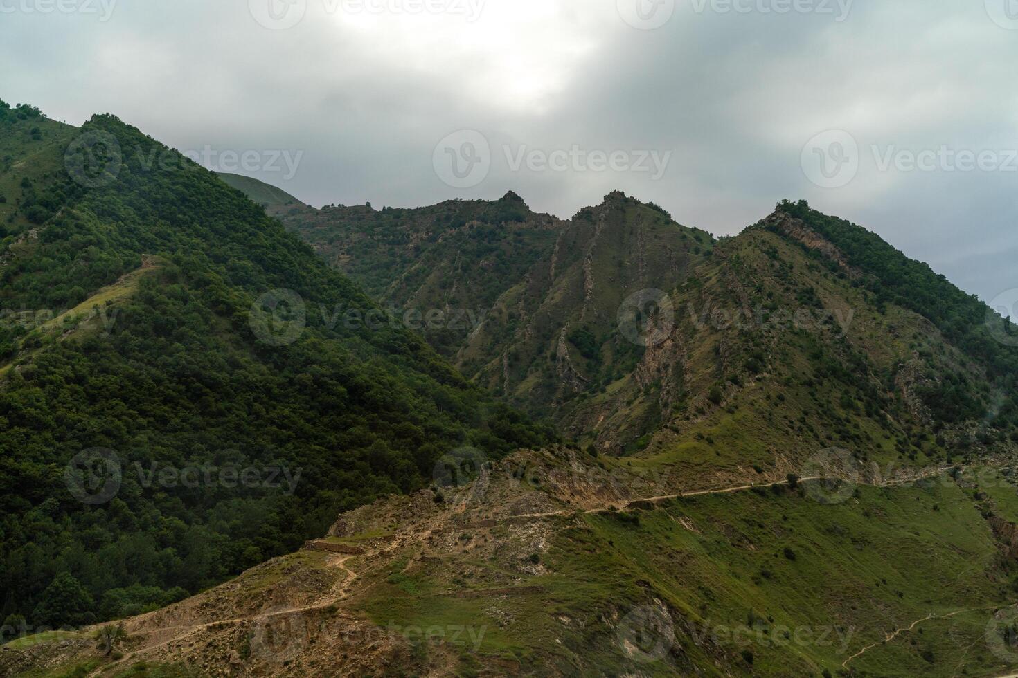 Caucasian mountain. Dagestan. Trees, rocks, mountains, view of the green mountains. Beautiful summer landscape. photo