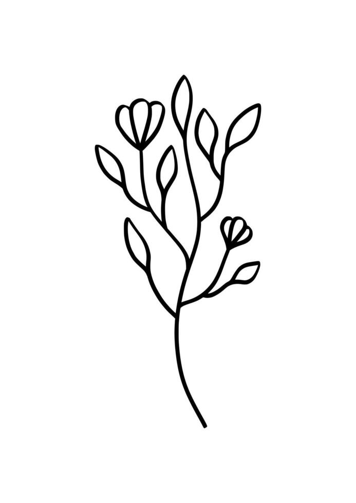 Minimalist Flower in Hand Drawing style on White Background. vector