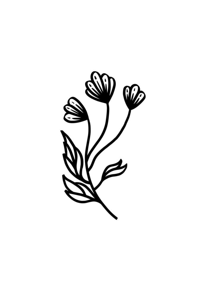 Minimalist Flower in Hand Drawing style on White Background. vector