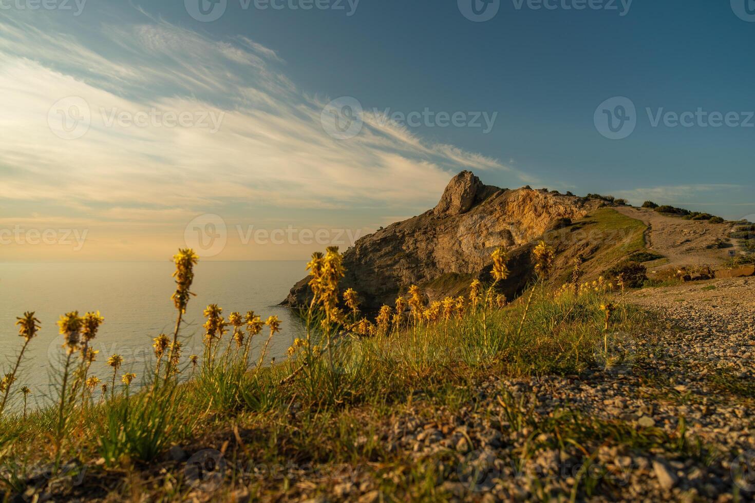 A rocky hillside with a beautiful view of the ocean and a few yellow flowers. The sky is clear and the sun is setting, creating a serene and peaceful atmosphere. photo