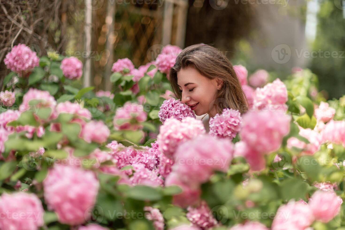 Hydrangeas Happy woman in pink dress amid hydrangeas. Large pink hydrangea caps surround woman. Sunny outdoor setting. Showcasing happy woman amid hydrangea bloom. photo