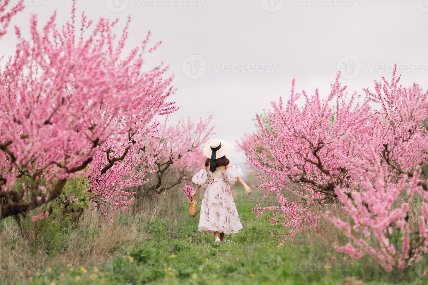 Woman blooming peach orchard. Against the backdrop of a picturesque peach orchard, a woman in a long dress and hat enjoys a peaceful walk in the park, surrounded by the beauty of nature. photo