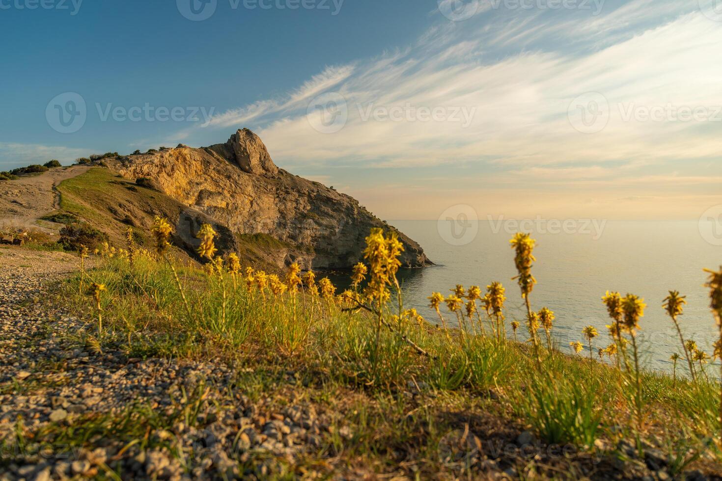 A rocky hillside with a view of the ocean and a field of yellow flowers. The scene is serene and peaceful, with the sun shining brightly on the flowers and the water. photo