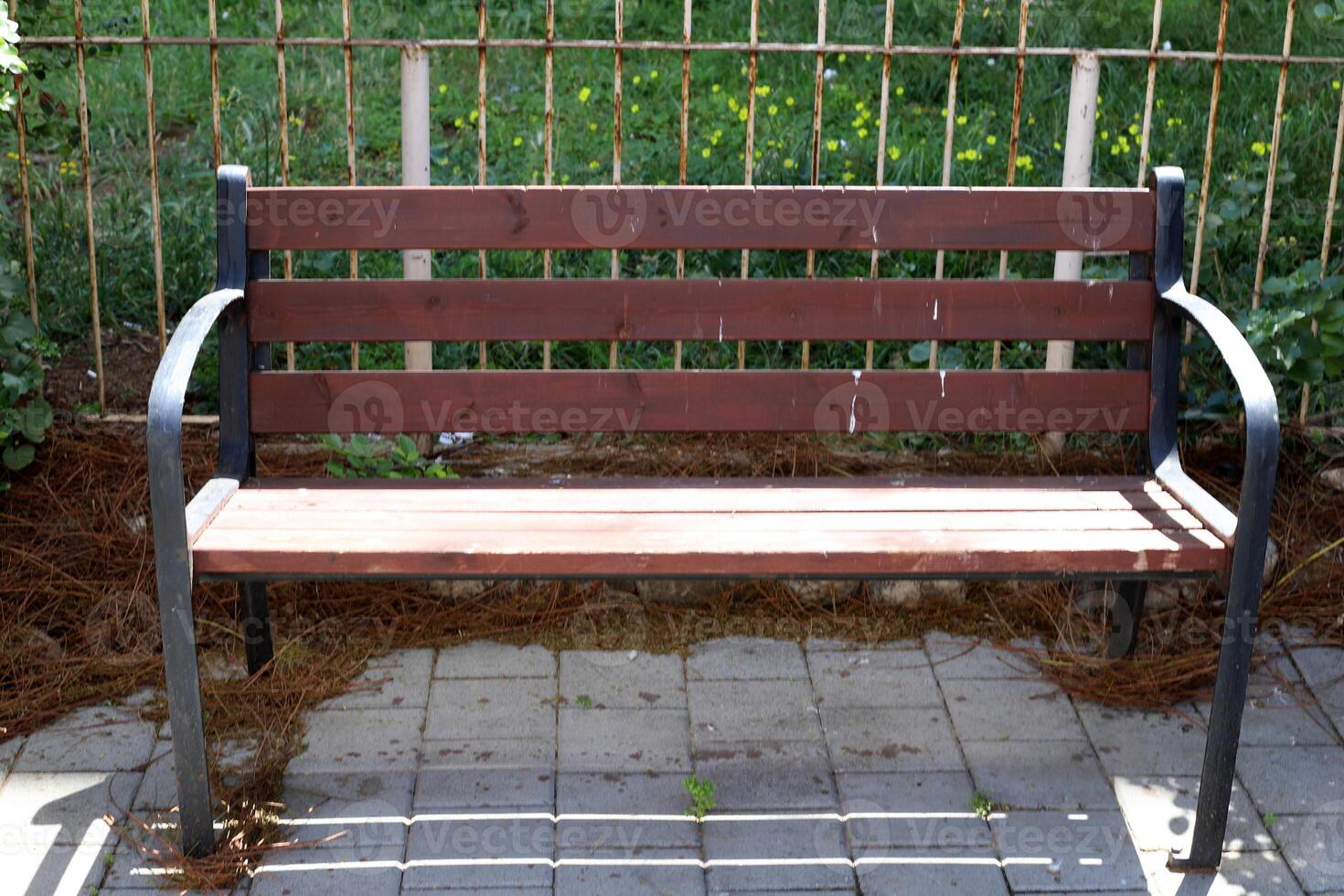 A bench for relaxing in a city park on the seashore. photo