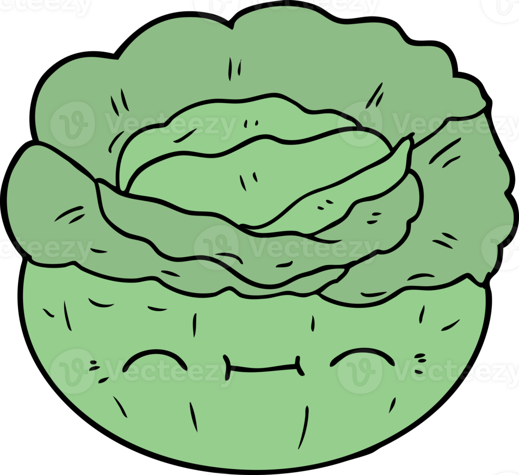 cartoon cabbage drawing png
