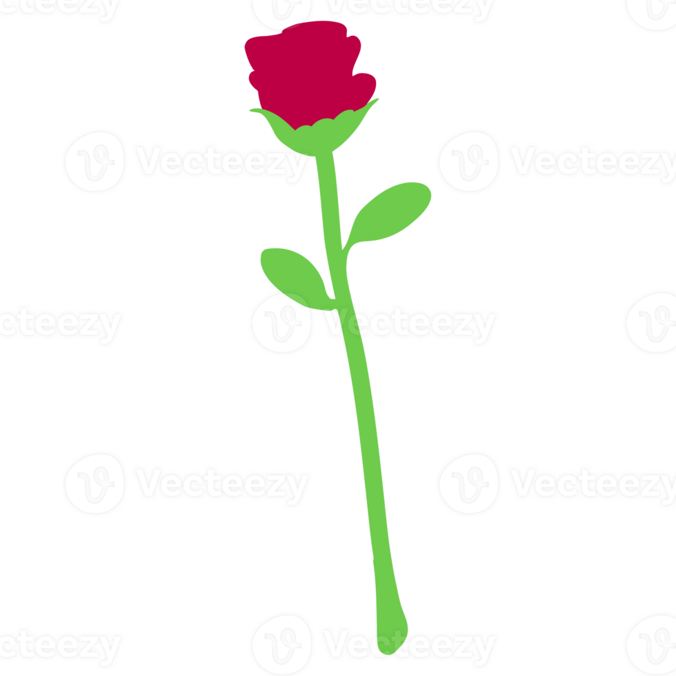 single rose drawing png