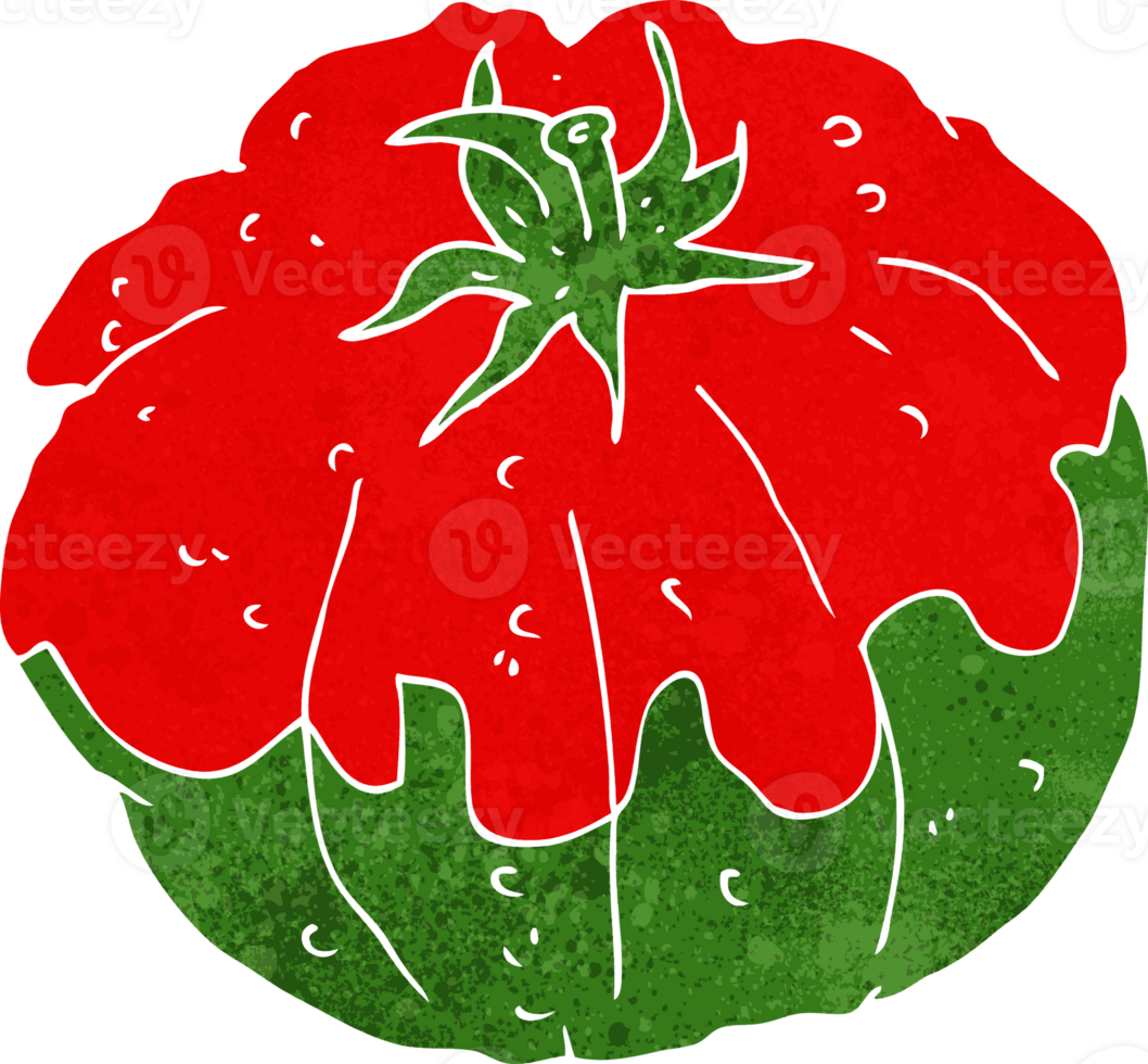 cartoon tomato drawing png