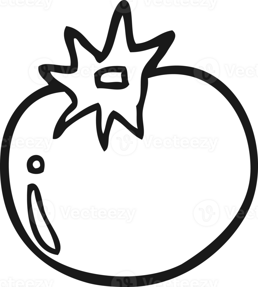 cartoon tomato drawing png