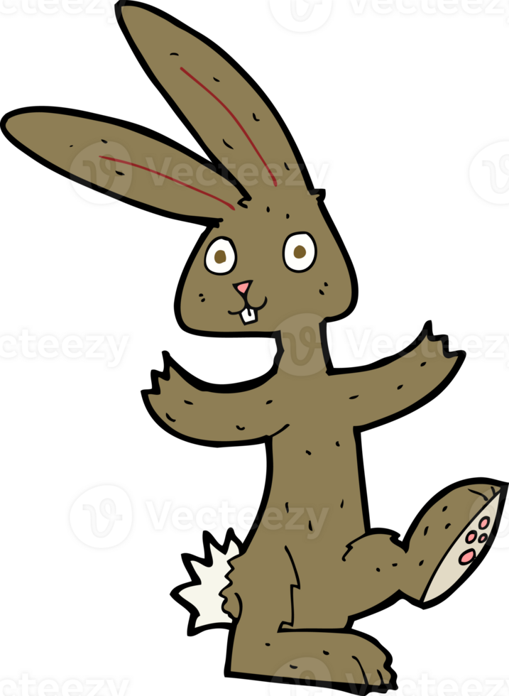 cartoon rabbit drawing png