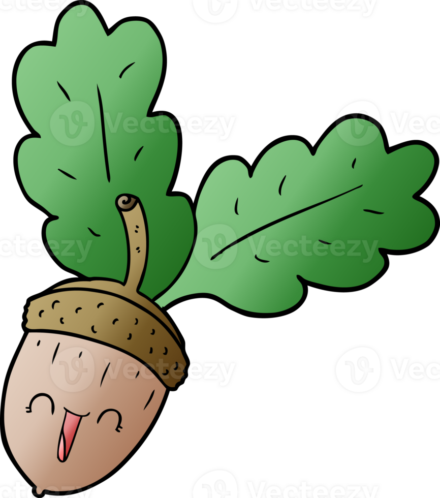 cartoon acorn drawing png