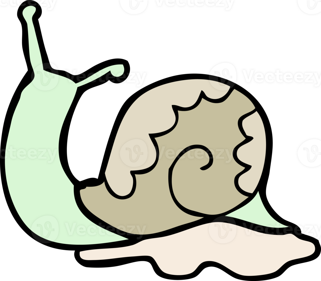 cartoon snail drawing png