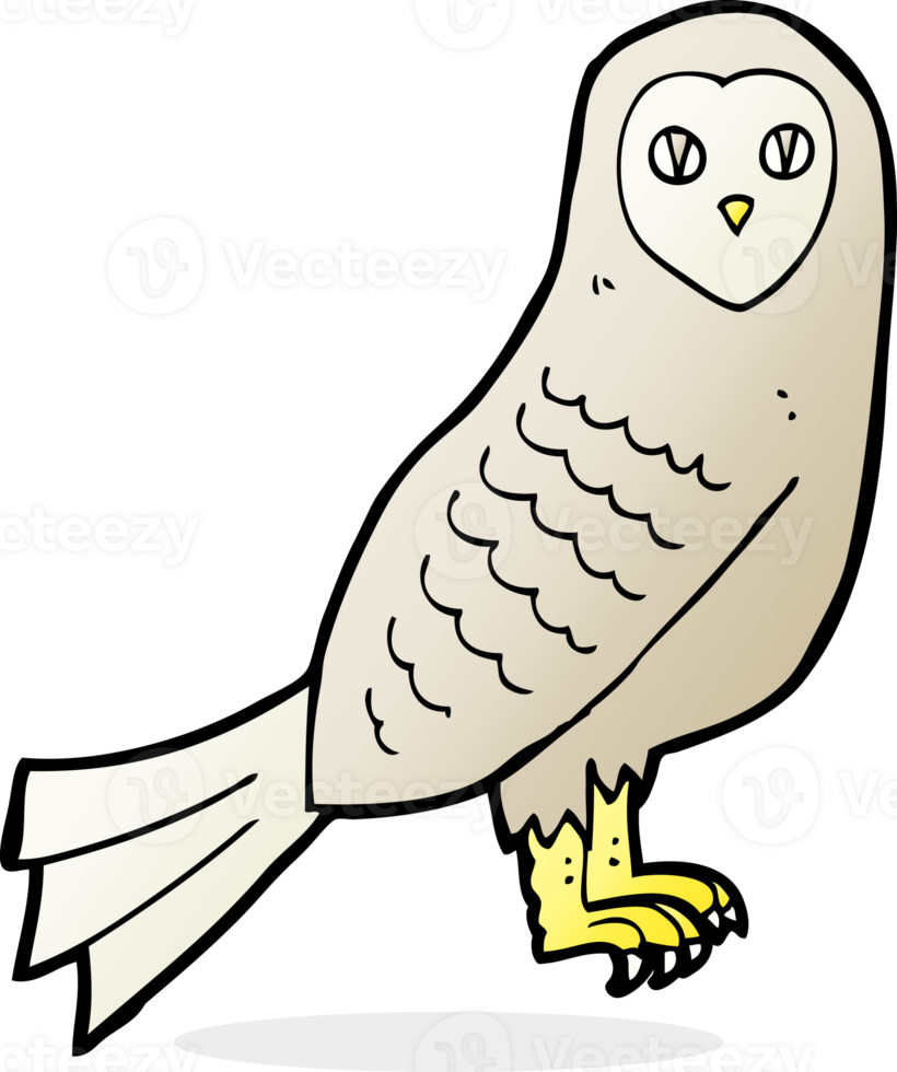 cartoon owl drawing png