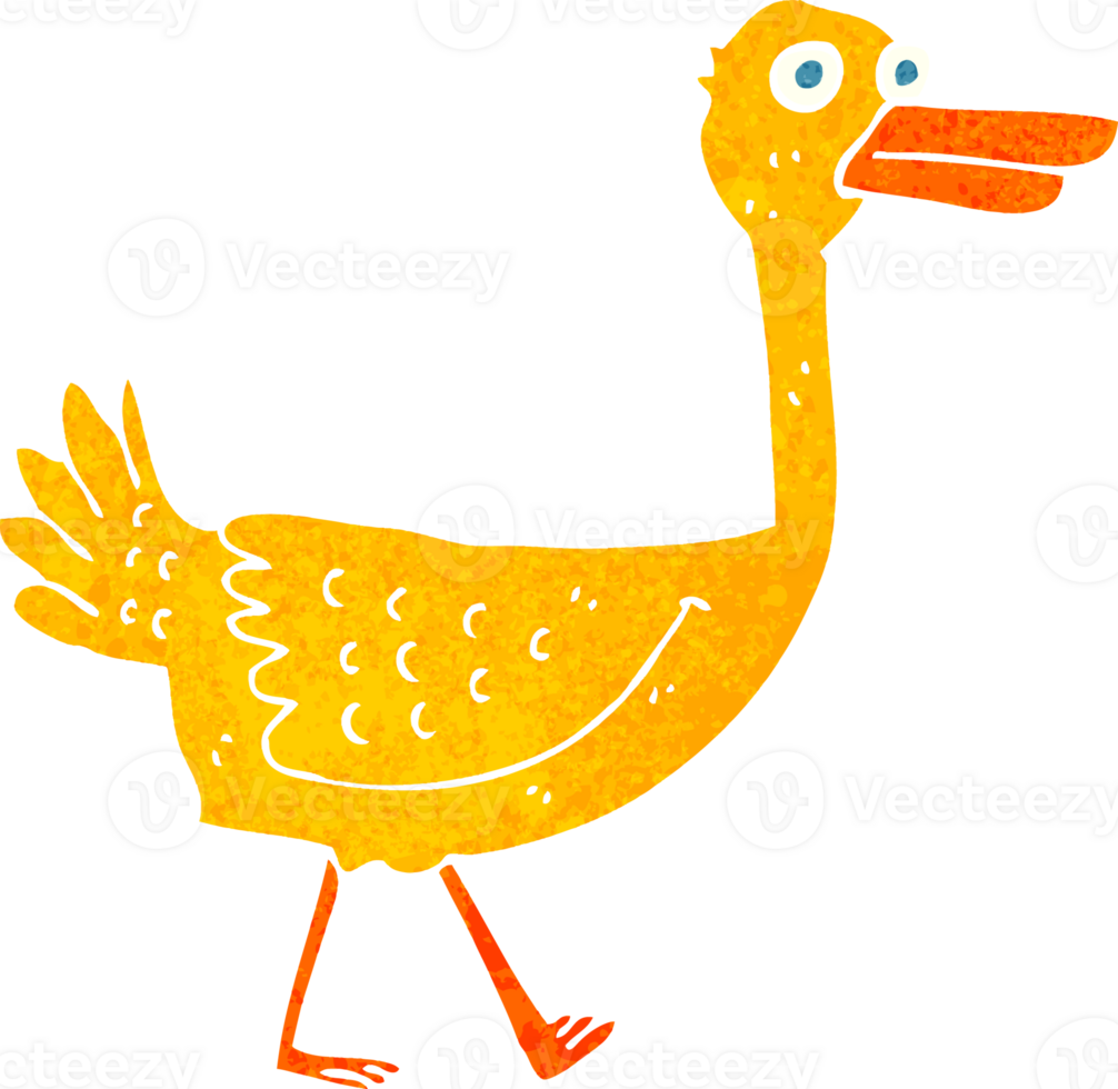 cartoon bird drawing png