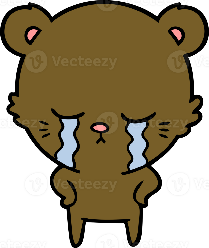 crying cartoon bear png