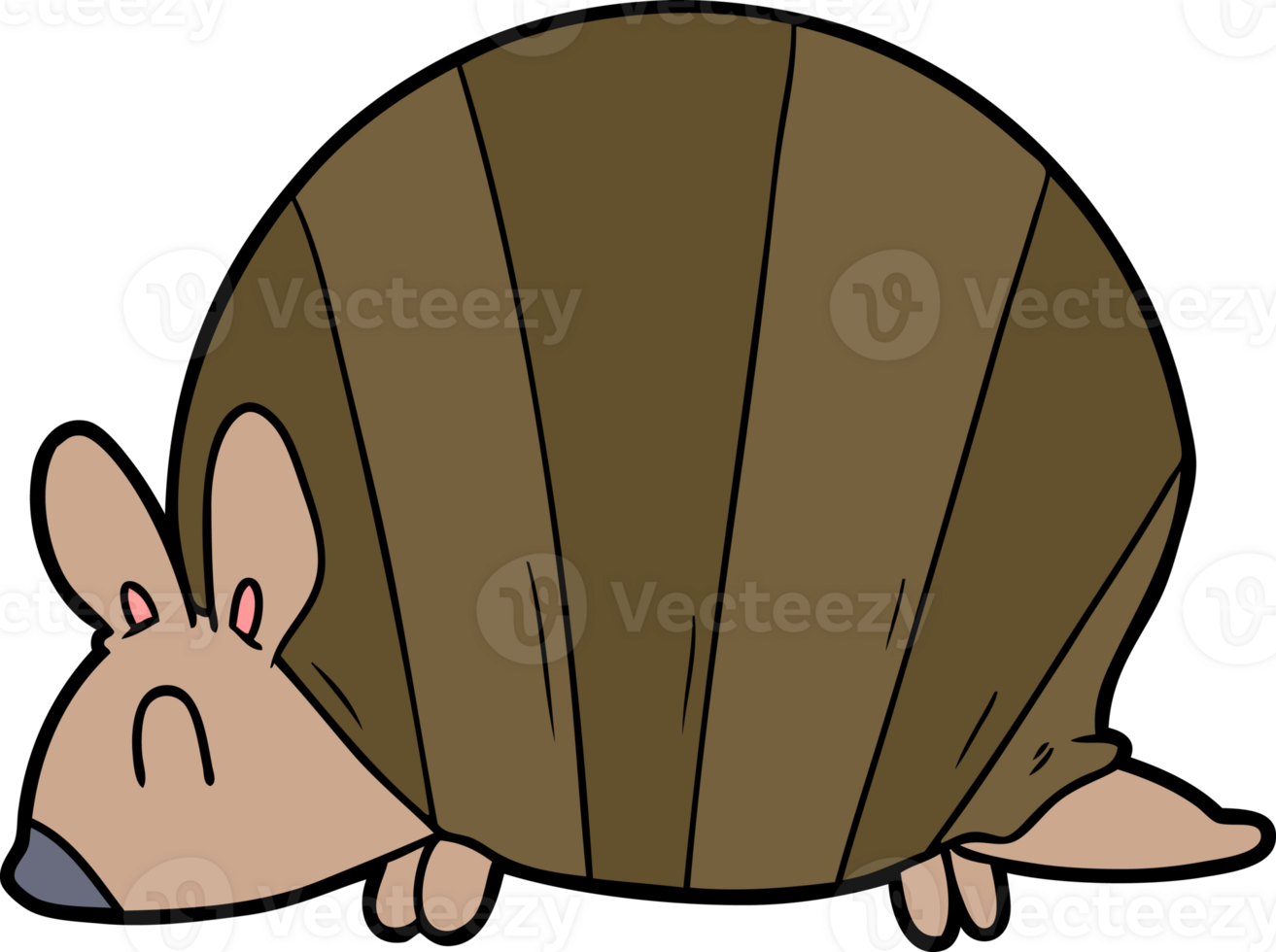 cartoon armadillo drawing png
