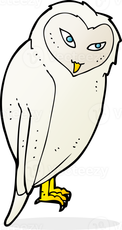 cartoon owl drawing png
