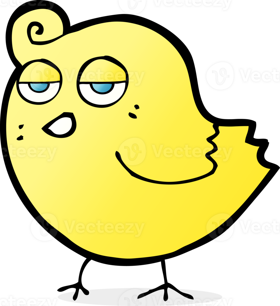 cartoon bird drawing png