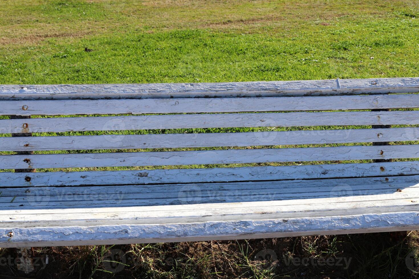 A bench for relaxing in a city park on the seashore. photo