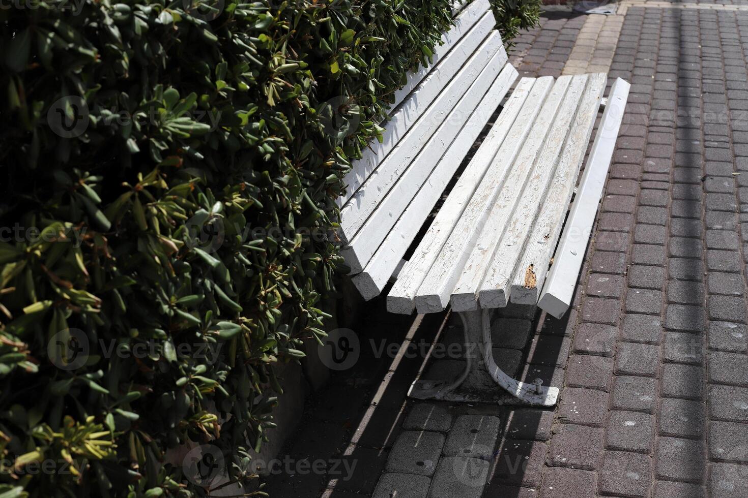 A bench for relaxing in a city park on the seashore. photo